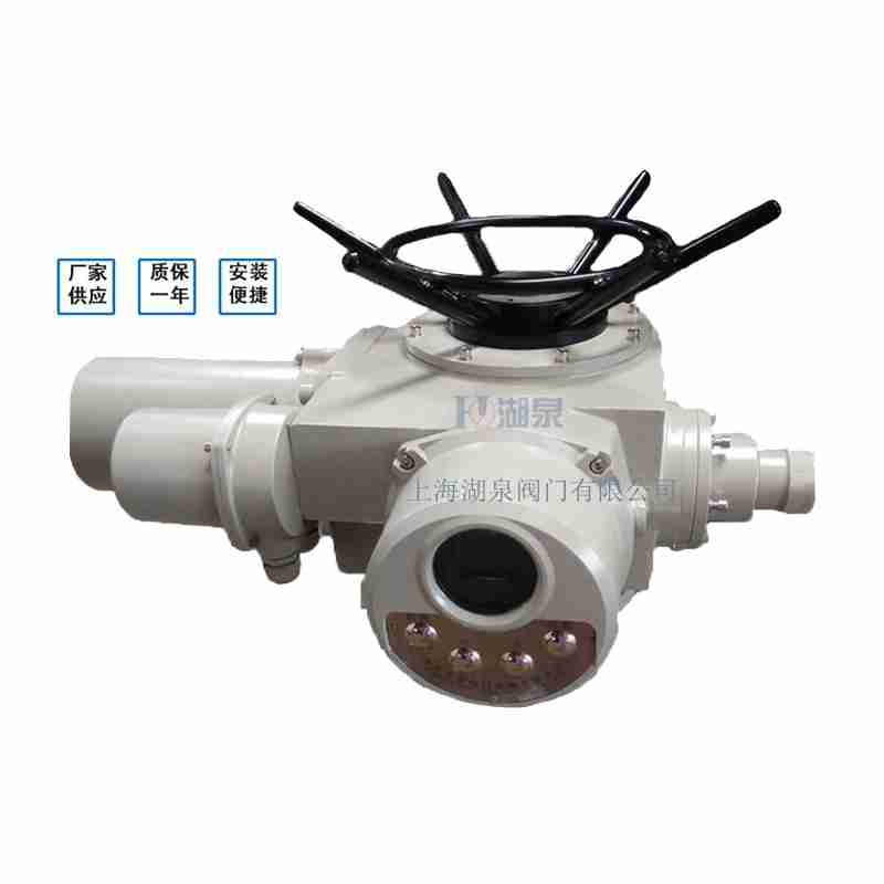 閥門電動裝置（dzw05,10,20，30,45,60，90,12