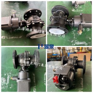 DN80電動(dòng)球閥WCB材質(zhì)16公斤