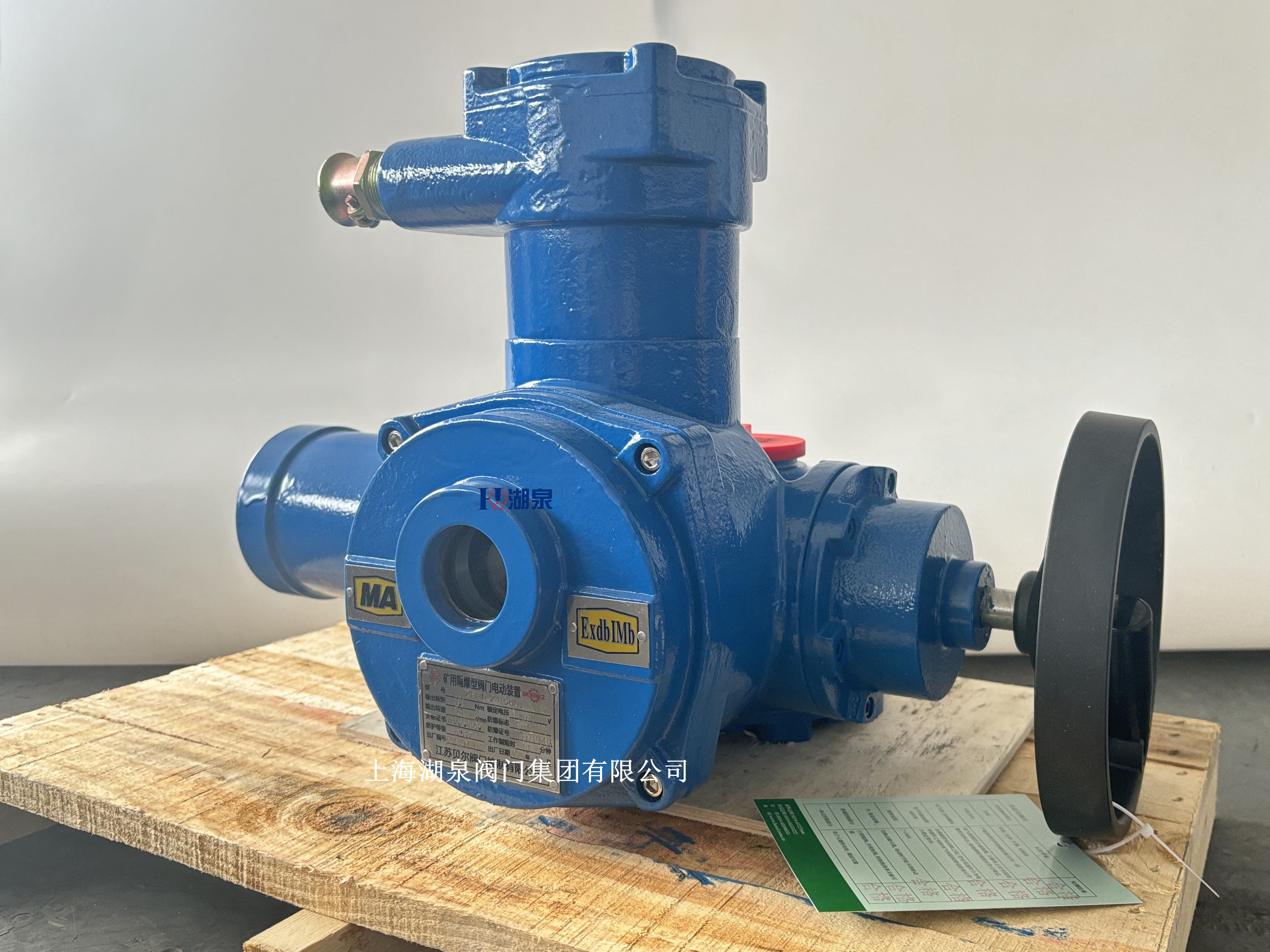 閥門電動(dòng)裝置